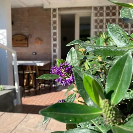 Alojamento de Acomodação e Pequeno-almoço R&b Dalla Licia San Giorgio di Piano